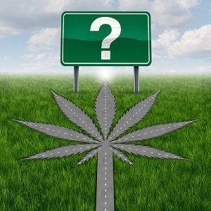 marijuana, governor, DuPage County Criminal Defense Attorney